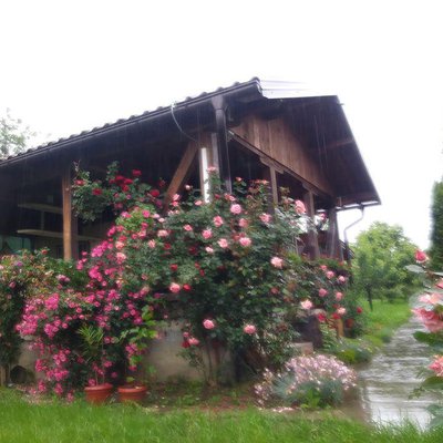 Cottage Memić Lake Modrac