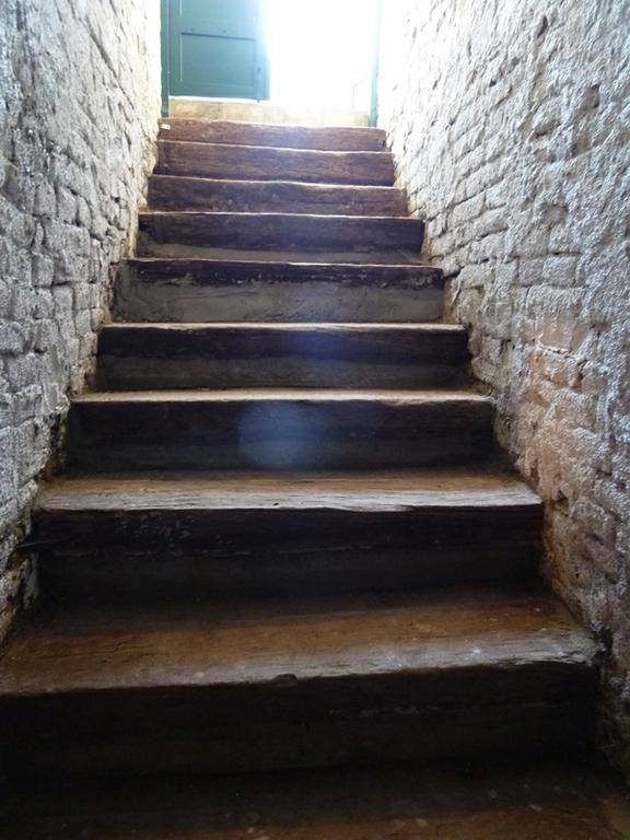 Apartment Vunica ***