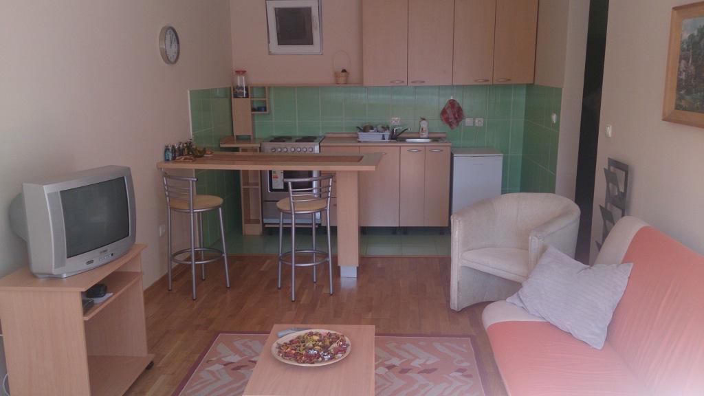 Apartmani,privatni smestaj Novi Sad Centar