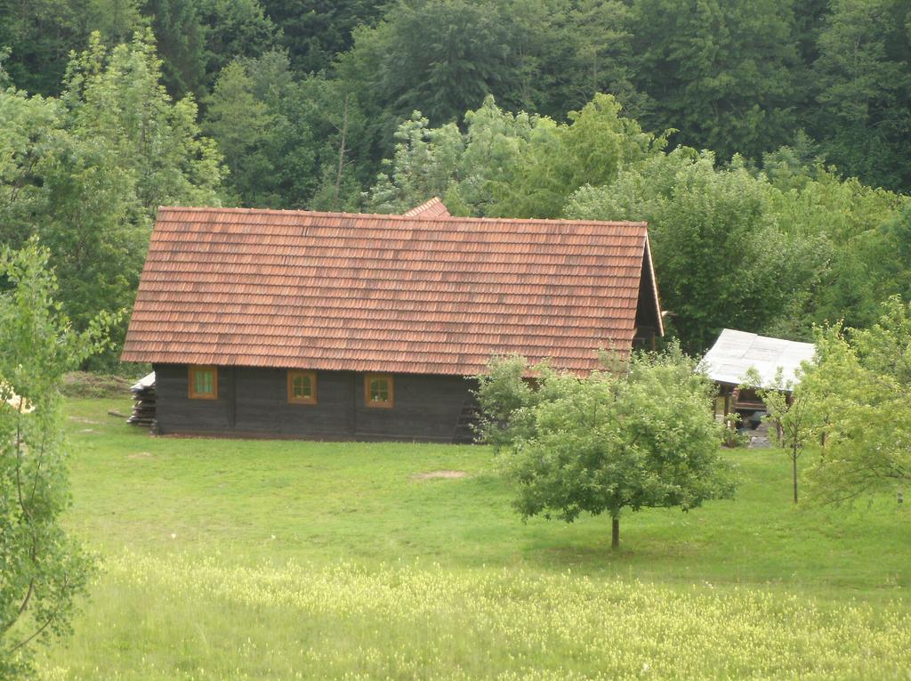 Izlet na Kupu
