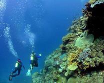 Open sea diving center