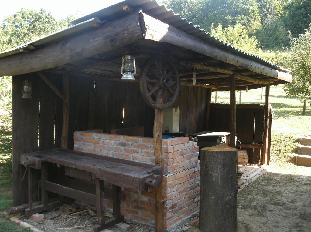 Izlet na Kupu