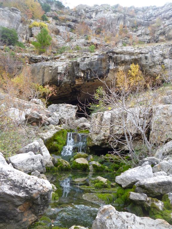 Pansion Casa Lavanda