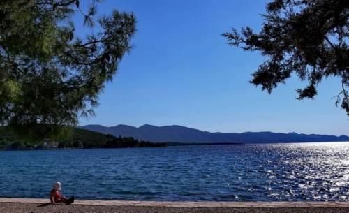 Autokamp, Apartmani, Sobe Lupis