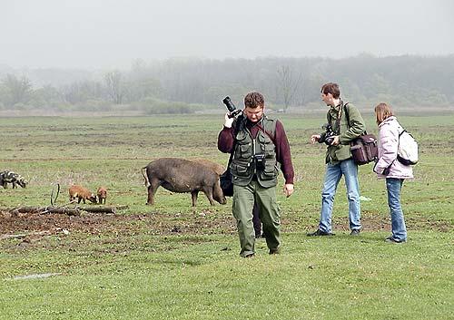 Park prirode Lonjsko polje