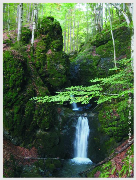 Seoski turizam u parku prirode Golija-Studenica