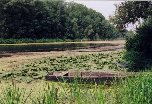 Park prirode Lonjsko polje