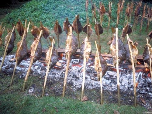 Park prirode Lonjsko polje