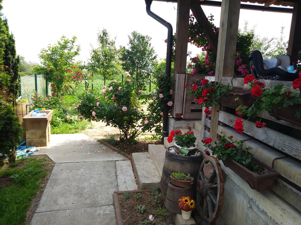 Cottage Memić Lake Modrac