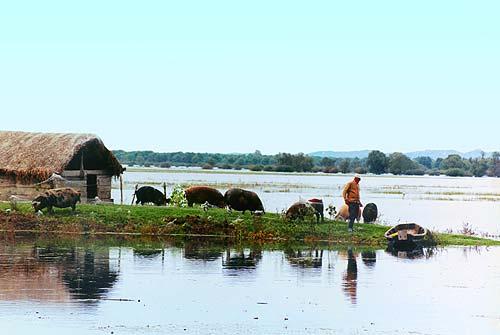 Park prirode Lonjsko polje