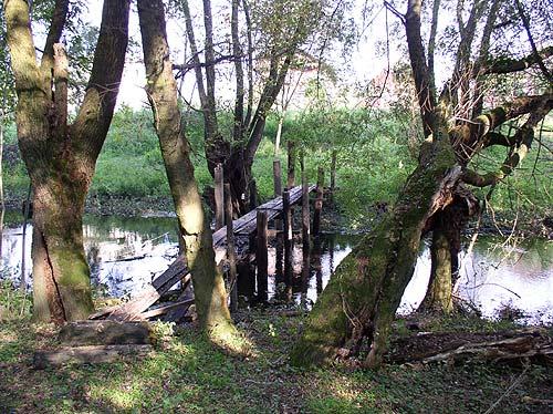 Park prirode Lonjsko polje