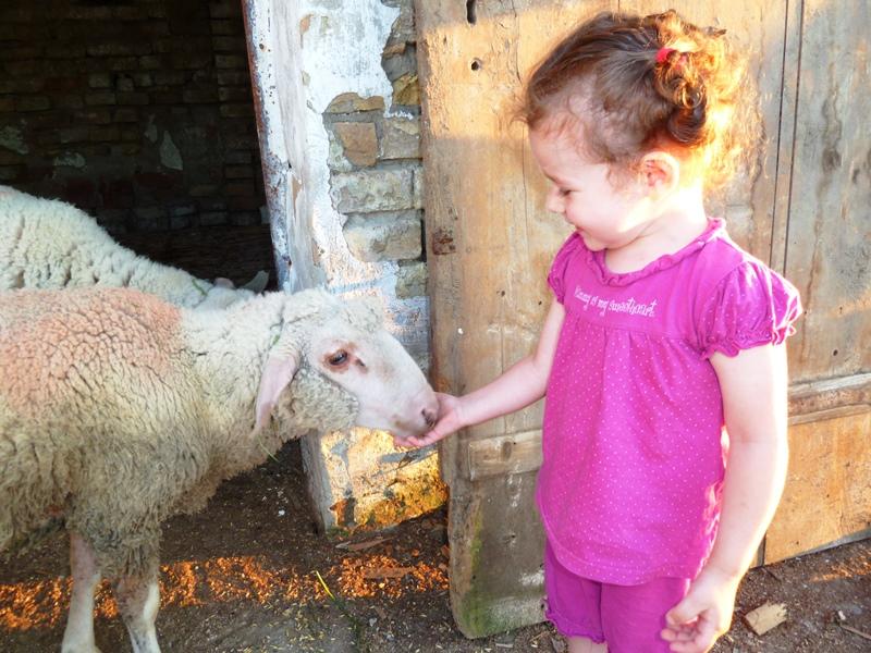 Apartment Vunica ***