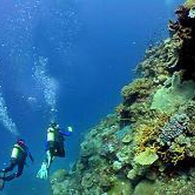 Open sea diving center