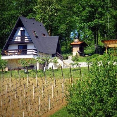 Vacanze - cottage, tennis, Zagorje